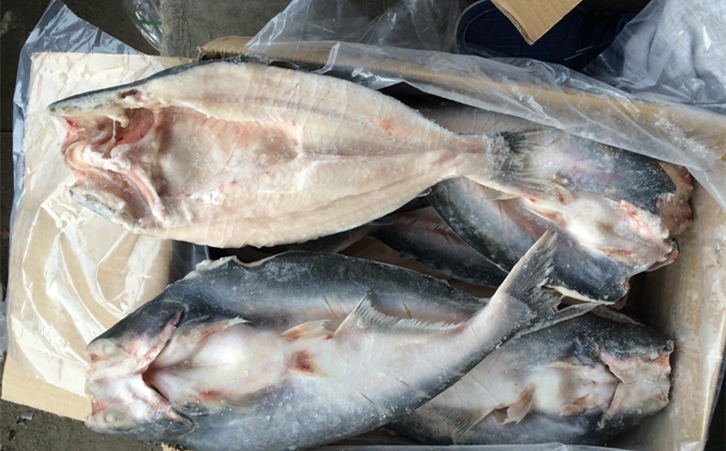 進口巴沙魚清關代理 進口巴沙魚清關代理一點都不難,只要你準備好這些資料