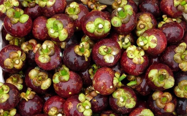 1628074925522747.jpg 洋山港進口山竹清關(guān)公司