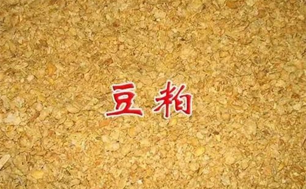 豆粕進口清關一般貿易進口流程以及所需單證資料 豆粕進口清關