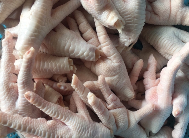 1628246717188439.jpg 上海進(jìn)口巴西鳳爪清關(guān)公司_副本.jpg