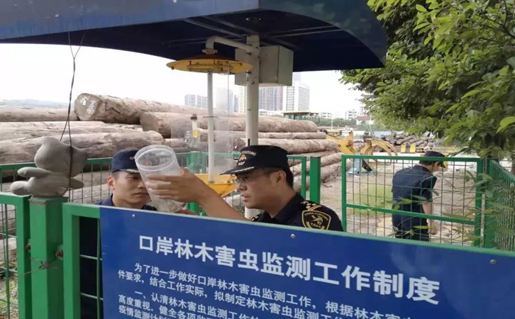 原木木材進(jìn)口報(bào)關(guān)代理公司 原木木材進(jìn)口報(bào)關(guān)