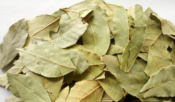 【進(jìn)口香葉清關(guān)代理公司】告訴你香葉進(jìn)口流程 進(jìn)口香葉清關(guān)代理公司