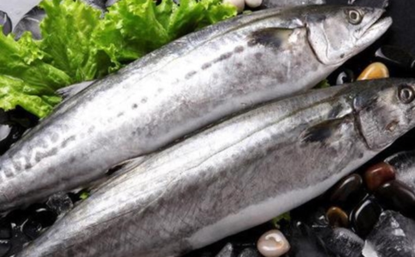 冷凍水產(chǎn)品進(jìn)口報(bào)關(guān)如何辦理相關(guān)的資料 冷凍水產(chǎn)品進(jìn)口報(bào)關(guān)